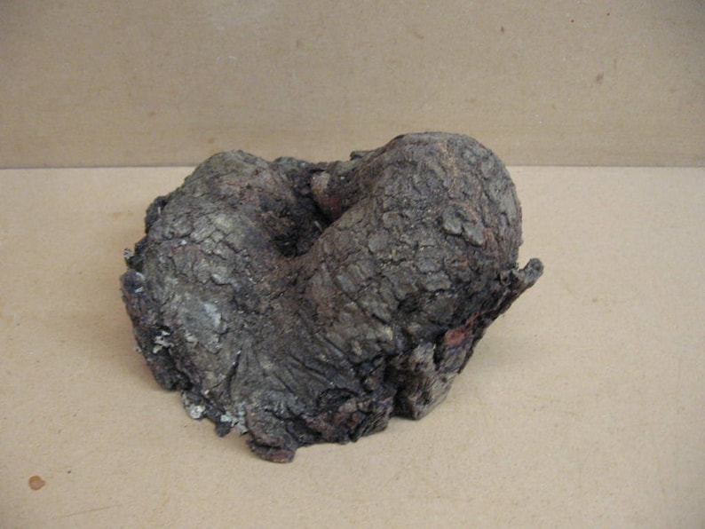 K&ouml;nnte beinhalten: Ein dunkelbraunes, knorriger Holzst&uuml;ck mit einer rauen, strukturierten Oberfl&auml;che. Das Holz ist in Form eines Knotens oder einer Maserung geformt, mit einem Loch in der Mitte.