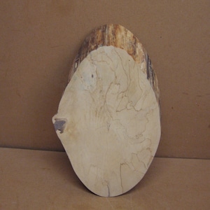 May include: A large, oval-shaped piece of wood with a light brown color and a dark brown edge. The wood has a natural grain pattern.