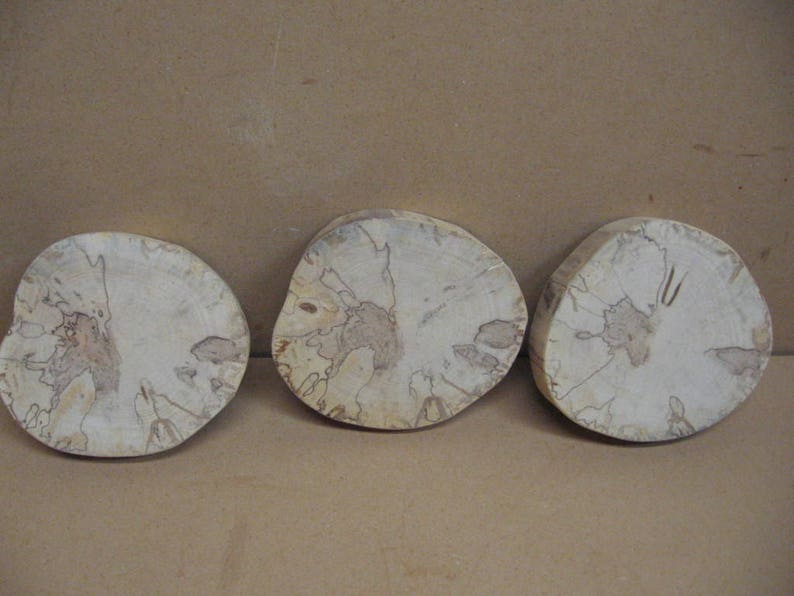 no bark 3 lighter colored spalted birch with spots ad trails