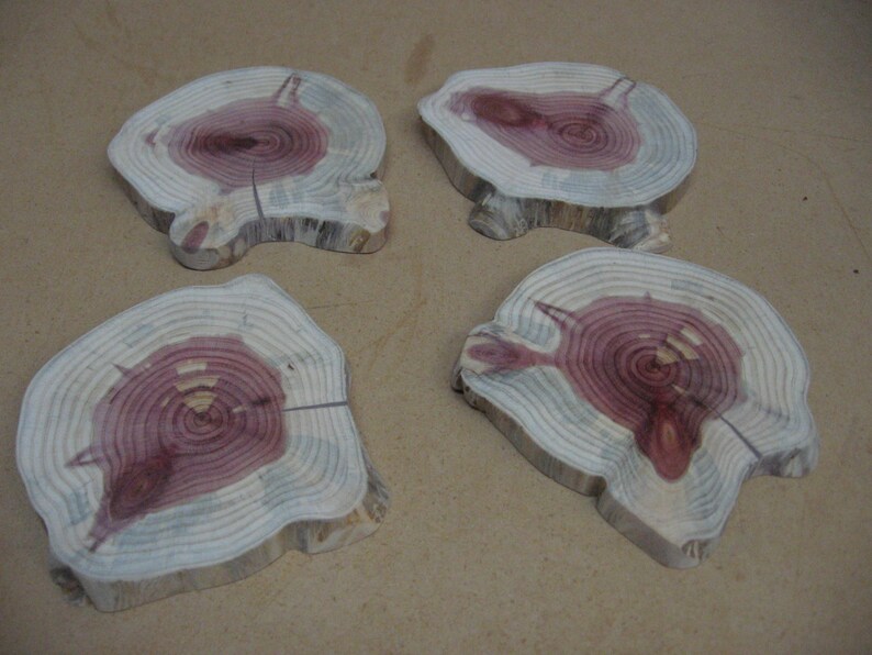 4 funky cedar slices with funny shape and red white and blue color.