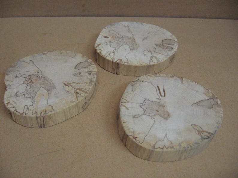 no bark 3 lighter colored spalted birch with spots ad trails