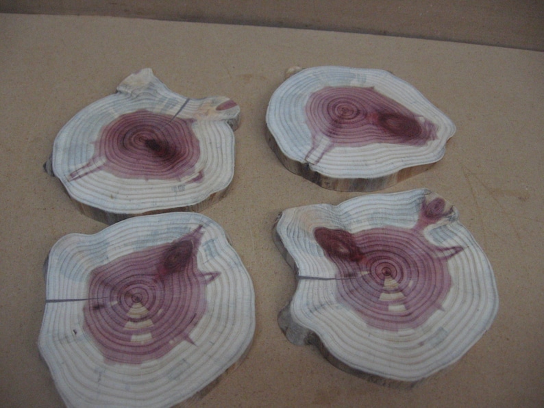 4 funky cedar slices with funny shape and red white and blue color.