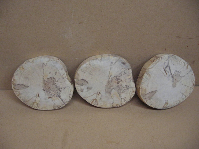 no bark 3 lighter colored spalted birch with spots ad trails