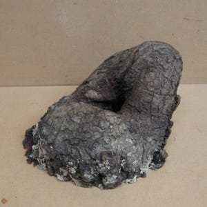 K&ouml;nnte beinhalten: Ein dunkelgraues, unregelm&auml;&szlig;ig geformtes St&uuml;ck Holz mit einer rauen, strukturierten Oberfl&auml;che. Das Holz hat ein Loch in der Mitte und scheint ein nat&uuml;rliches St&uuml;ck Treibholz zu sein.