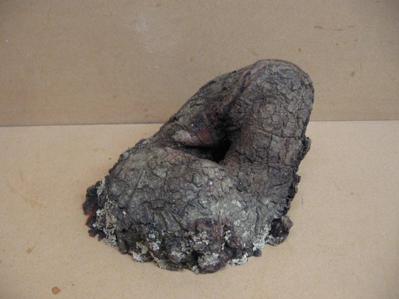 K&ouml;nnte beinhalten: Ein dunkelgraues, unregelm&auml;&szlig;ig geformtes St&uuml;ck Holz mit einer rauen, strukturierten Oberfl&auml;che. Das Holz hat ein Loch in der Mitte und scheint ein nat&uuml;rliches St&uuml;ck Treibholz zu sein.