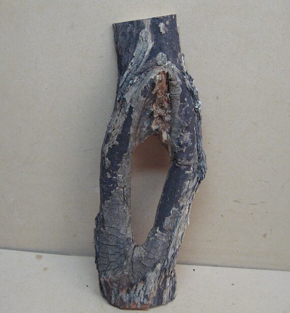 Tall Narrow Knothole For Frames Etc Image 0