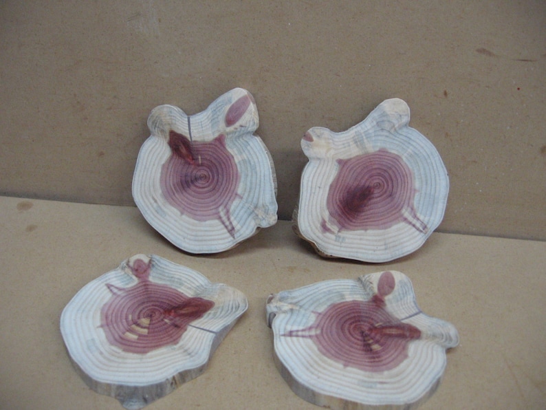 4 funky cedar slices with funny shape and red white and blue color.