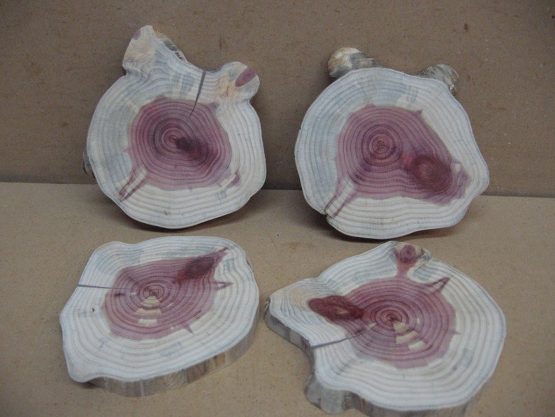 4 funky cedar slices with funny shape and red white and blue color.
