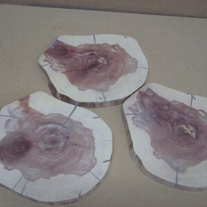 3 losas de cedro más pequeñas del mismo tronco con nudos | Etsy