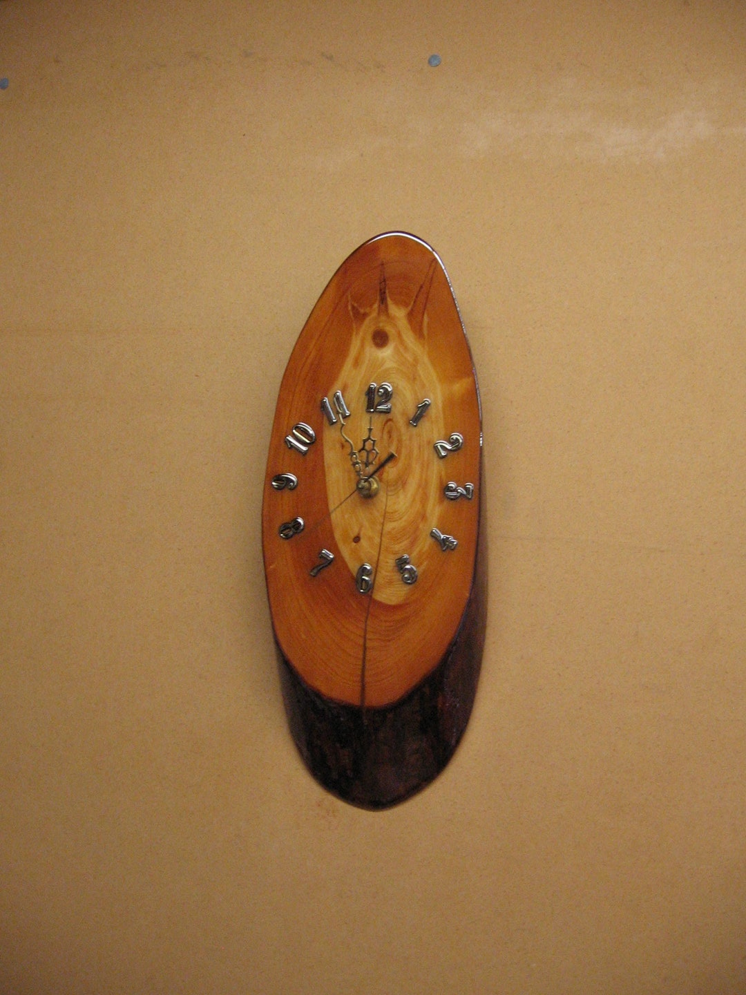 Oval Cypress Clock With Pretty Color and Red Bark, Cut off a Cypress