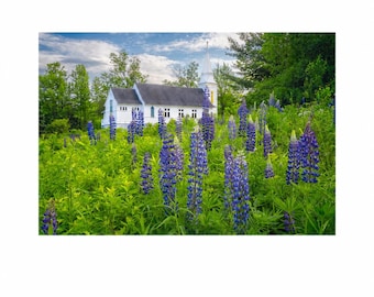Photographie de champ de lupins du New Hampshire | Impression d'église de Sugar Hill | Décoration murale printemps de la Nouvelle-Angleterre