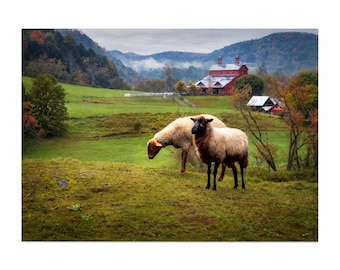 Impression de ferme d'automne brumeux Vermont | Photographie de grange rouge mouton | Décoration murale Nouvelle-Angleterre