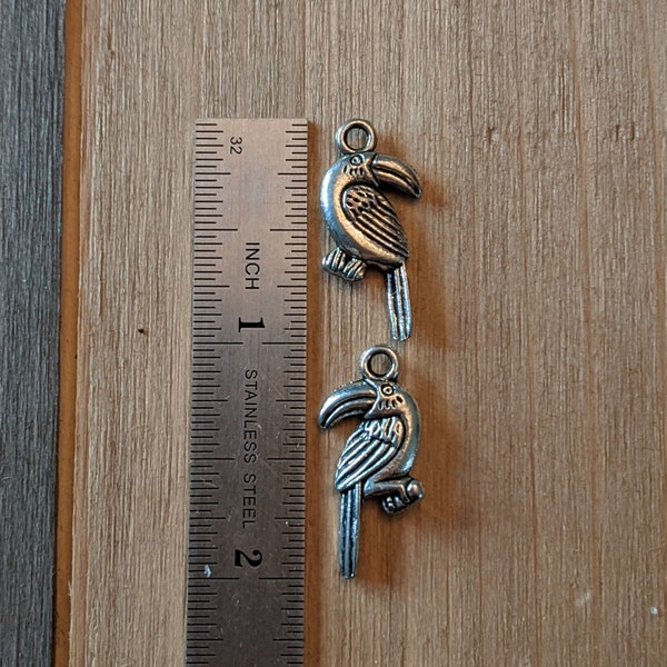 Tucan (Toucan) Charm--  25x11mm --Ant.Silver- lead & nickel free