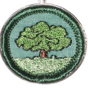 May include: Green embroidered patch with a green tree on a blue background. The tree has a brown trunk and is surrounded by green grass.