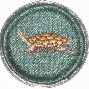 May include: A green and silver embroidered Boy Scout merit badge featuring a brown and yellow turtle on a brown branch.