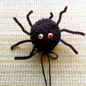 May include: A black yarn spider craft with googly eyes and pipe cleaner legs. The spider is sitting on a beige carpet.