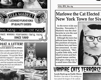 Newsprint Cat News  - Timeless Treasures - Quilting Cotton Fabric - Fabric by the Yard
