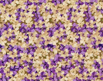 Floral Fabric - Timeless Treasures - Quilting Cotton Fabric - Fabric by the Yard