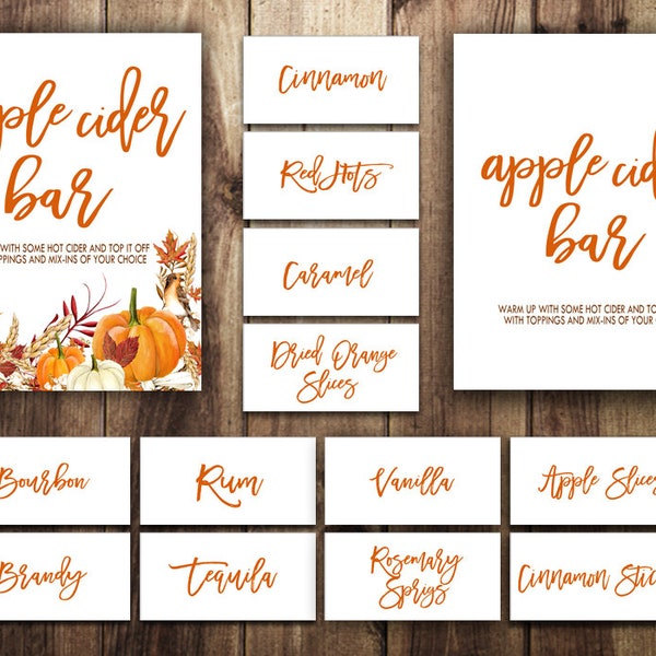 Apple Cider Bar Sign | Hot Cider Bar | Fall Wedding | Bridal Shower | Autumn Baby | Spiked Hard Cider | Pumpkin Leaves | Orange | Rustic PKN