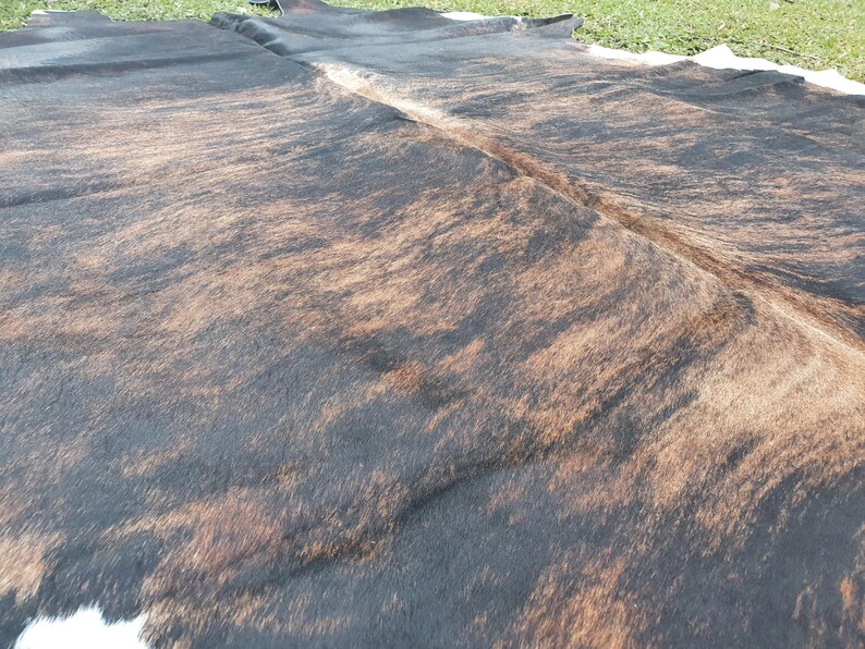 May include: A brown and black cowhide rug with a white border. The rug has a natural, rustic look and is perfect for adding a touch of Western style to any room.