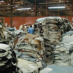 May include: A large warehouse space filled with stacks of tanned leather hides. The hides are stacked high and are various shades of brown, white, and grey.