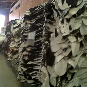 May include: A large stack of cowhide leather hides in a warehouse. The hides are white with black spots and are stacked in a pile.