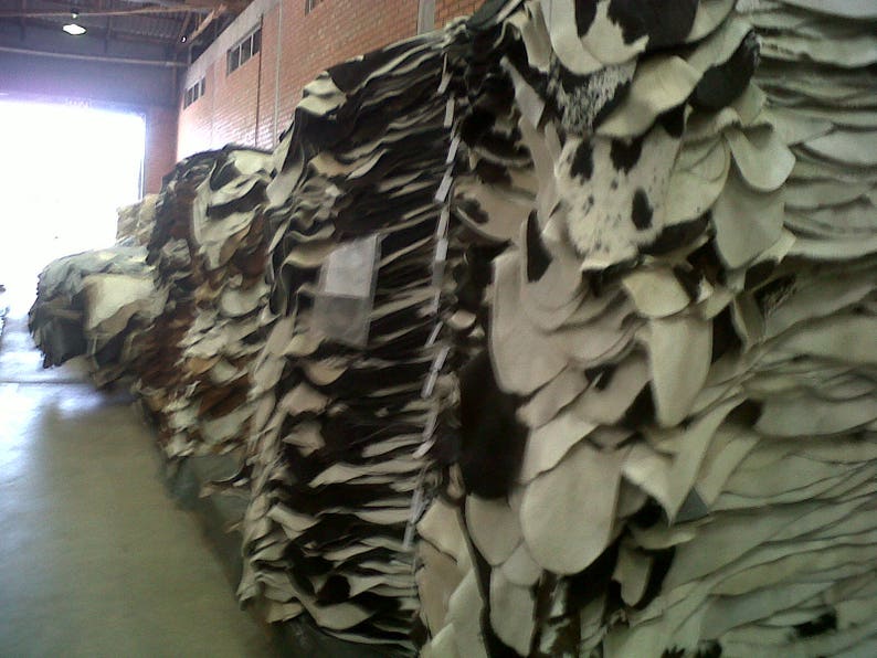 May include: A large stack of cowhide leather hides in a warehouse. The hides are white with black spots and are stacked in a pile.