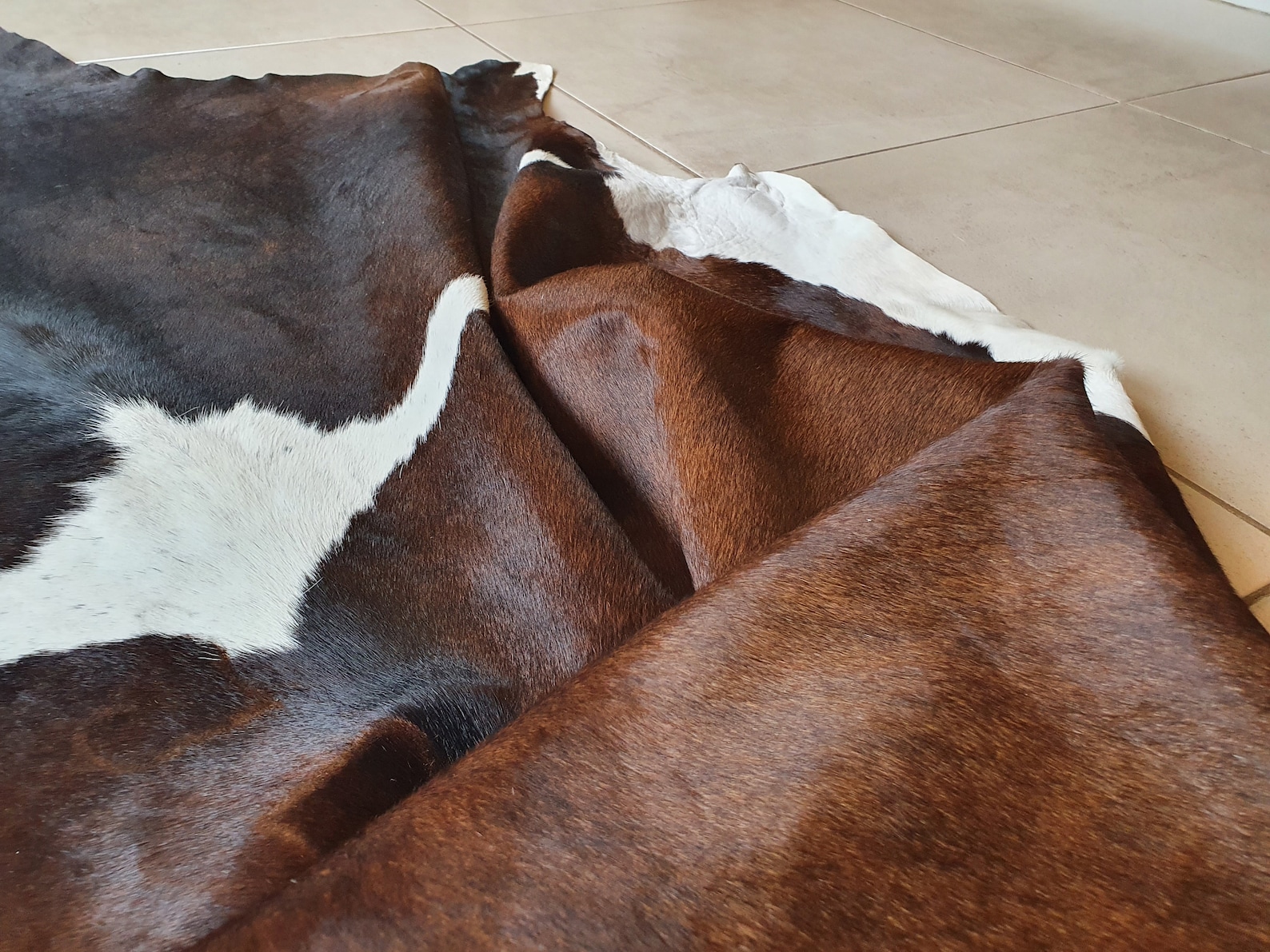EXTRA LARGE BROWN Cowhide Rug Amazing Cow Hide Rug Etsy