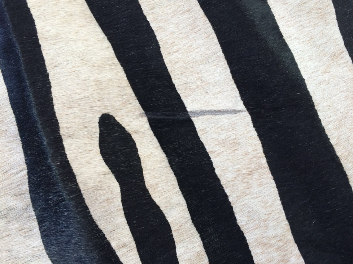 Cowhide Rug ZEBRA BLACK WHITE Unique a347 7.5 x 6.2 ft Tapi Etsy