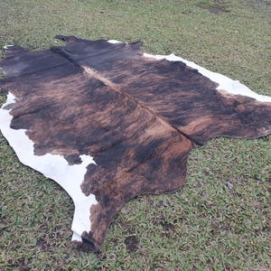 May include: A brown and white cowhide rug with a natural, mottled pattern. The rug is laid out on a green grassy surface.