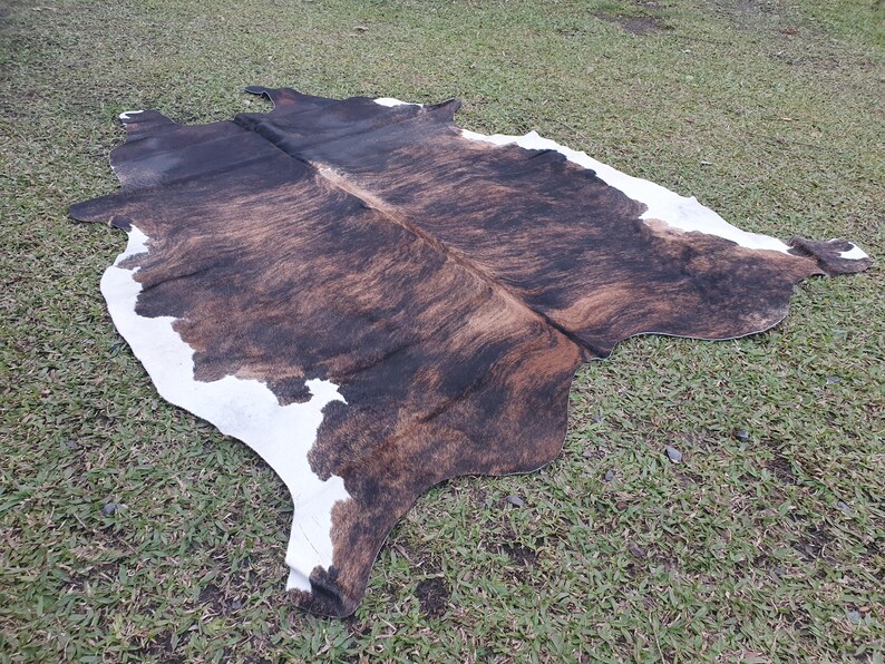 May include: A brown and white cowhide rug with a natural, mottled pattern. The rug is laid out on a green grassy surface.