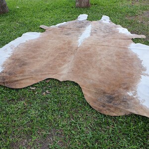 May include: A brown and white cowhide rug with a natural, irregular shape. The rug is laid out on a green grassy surface.
