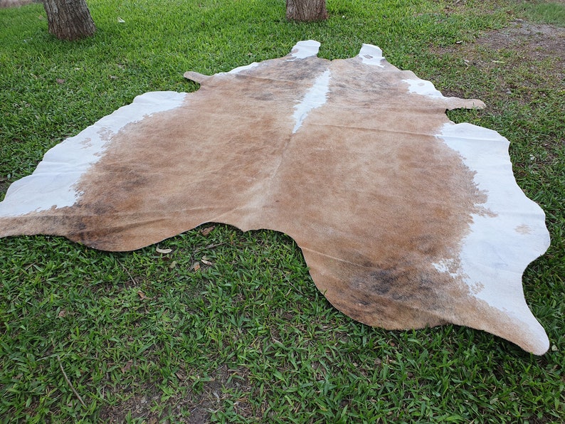 May include: A brown and white cowhide rug with a natural, irregular shape. The rug is laid out on a green grassy surface.