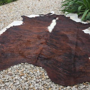 XXL HUGE TRICOLOR Brindle Cowhide  Rug Tapis Peau de Vache Kuhfell Teppich