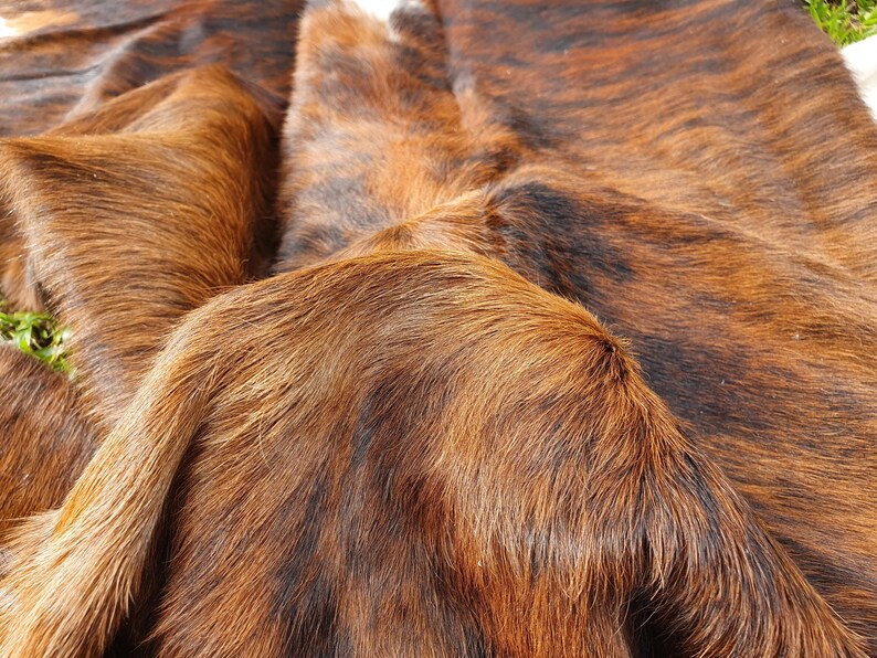 May include: A brown and black cowhide rug with a soft, shaggy texture. The hide has a natural pattern of brown and black stripes.