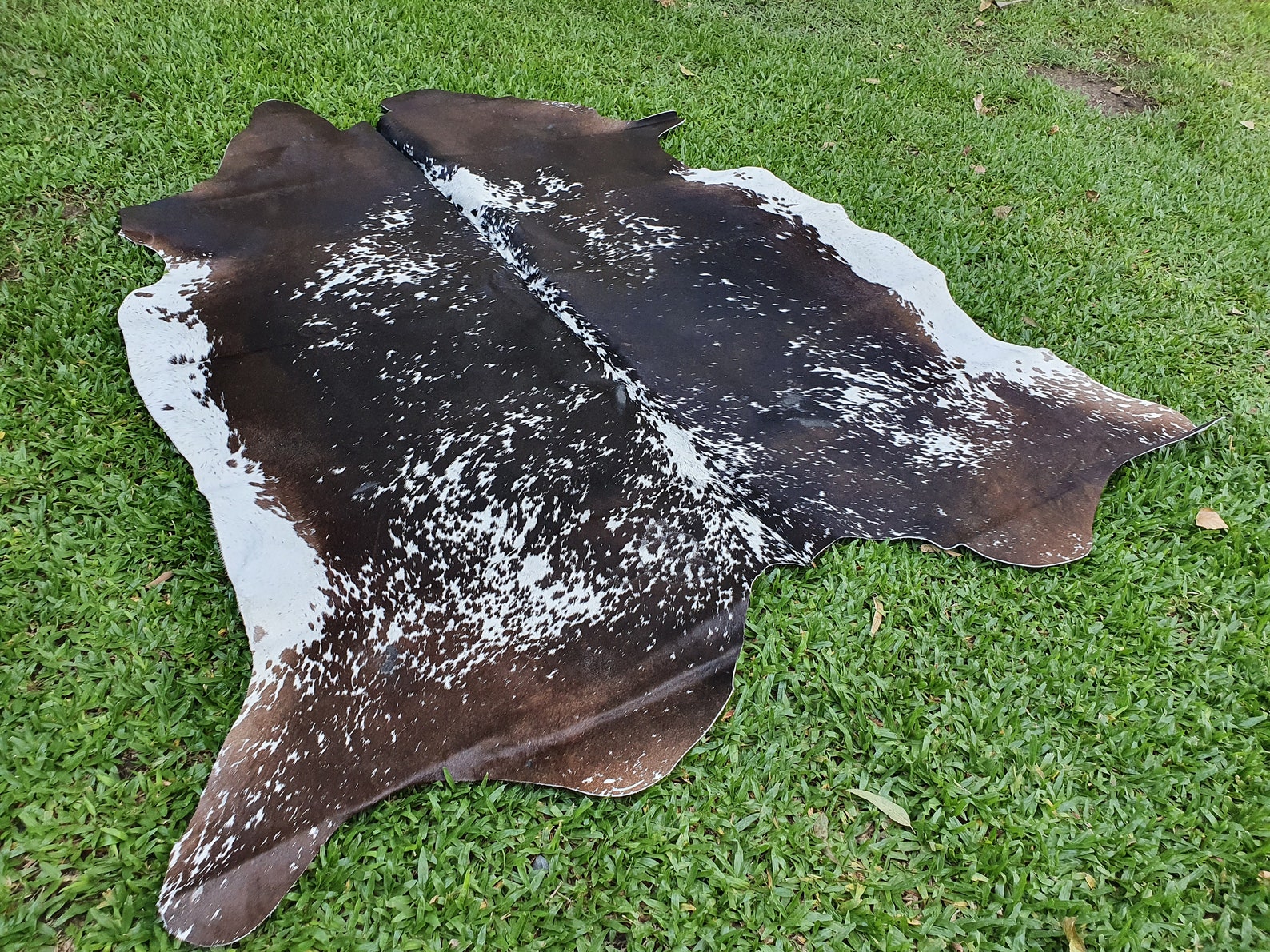 Amazing LARGE SPECKLED Cowhide Rug Cow skin Leather Carpet Etsy