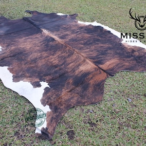 May include: A brown and white cowhide rug with black markings. The rug is laid out on a green grassy surface. The text "MISSION HIDES & KNIVES" is visible in the upper right corner of the image.