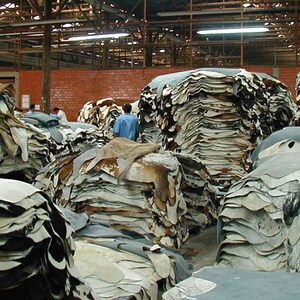 May include: A large warehouse space filled with stacks of tanned leather hides. The hides are stacked high and are various shades of brown, white, and gray.