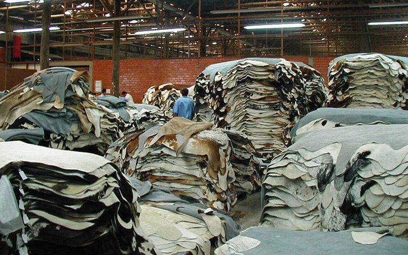 May include: A large warehouse space filled with stacks of tanned leather hides. The hides are stacked high and are various shades of brown, white, and gray.