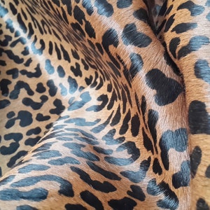 Cowhide Rug LEOPARD PRINT!. Unique! XL! a434 Peau de léopard. Cow Skin