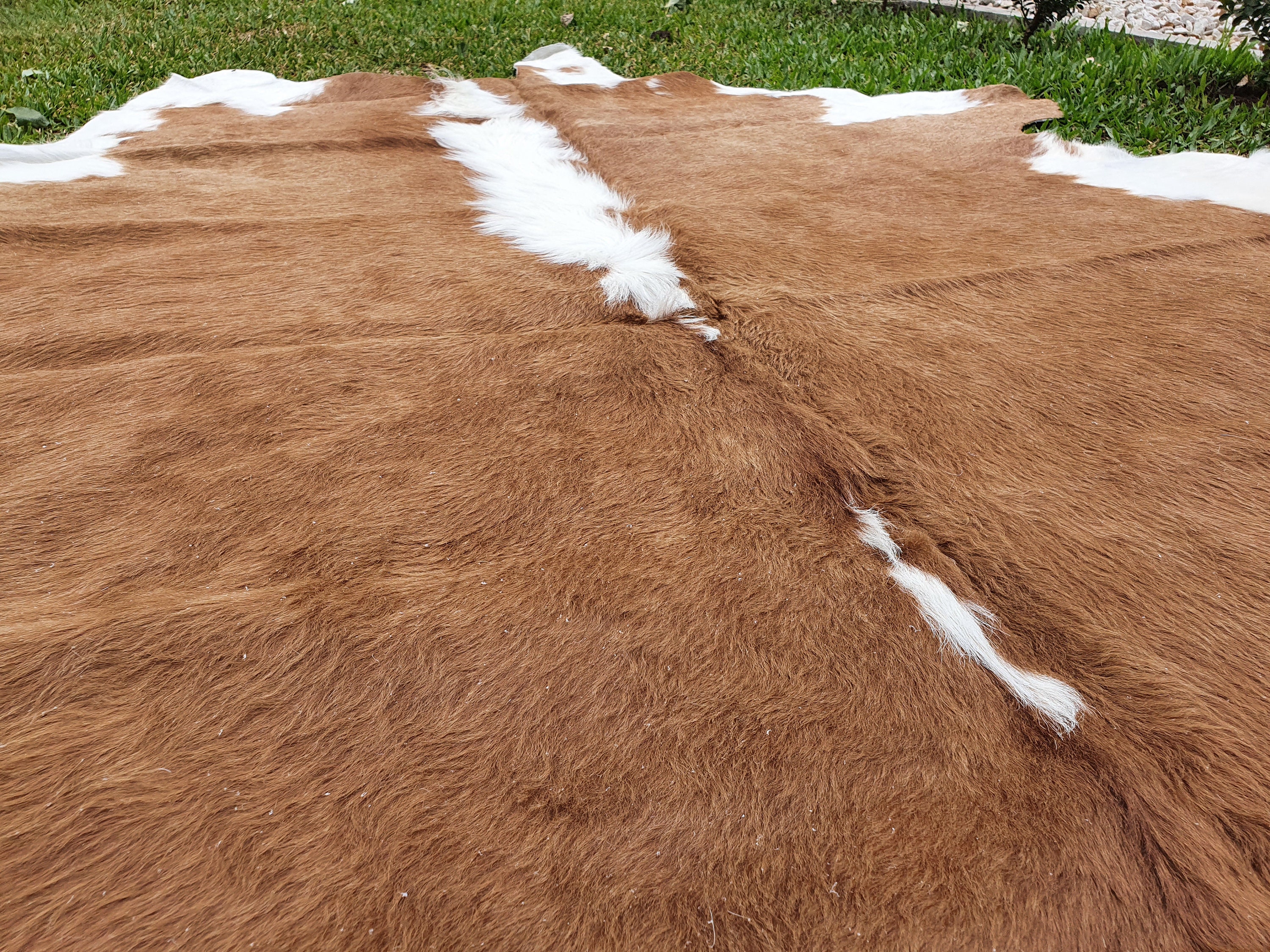 XL CAMEL BEIGE Cowhide Rug Cow Skin Leather Carpet Cow Hide Etsy UK