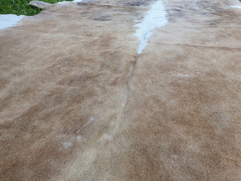 May include: A close-up of a light brown cowhide rug with a white stripe down the center.