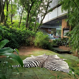 ZEBRA XL Cowhide Stenciled Rug Handmade! Amazing!! Peau de ZEBRE