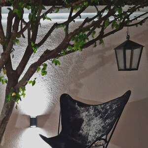 May include: A black and white cowhide butterfly chair with a black metal frame sits under a tree with green leaves. A black lantern hangs from a branch above the chair.