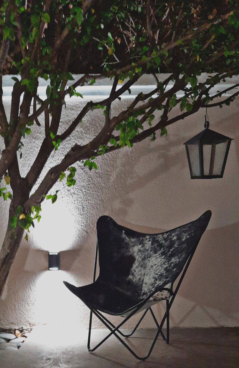 May include: A black and white cowhide butterfly chair with a black metal frame sits under a tree with green leaves. A black lantern hangs from a branch above the chair.
