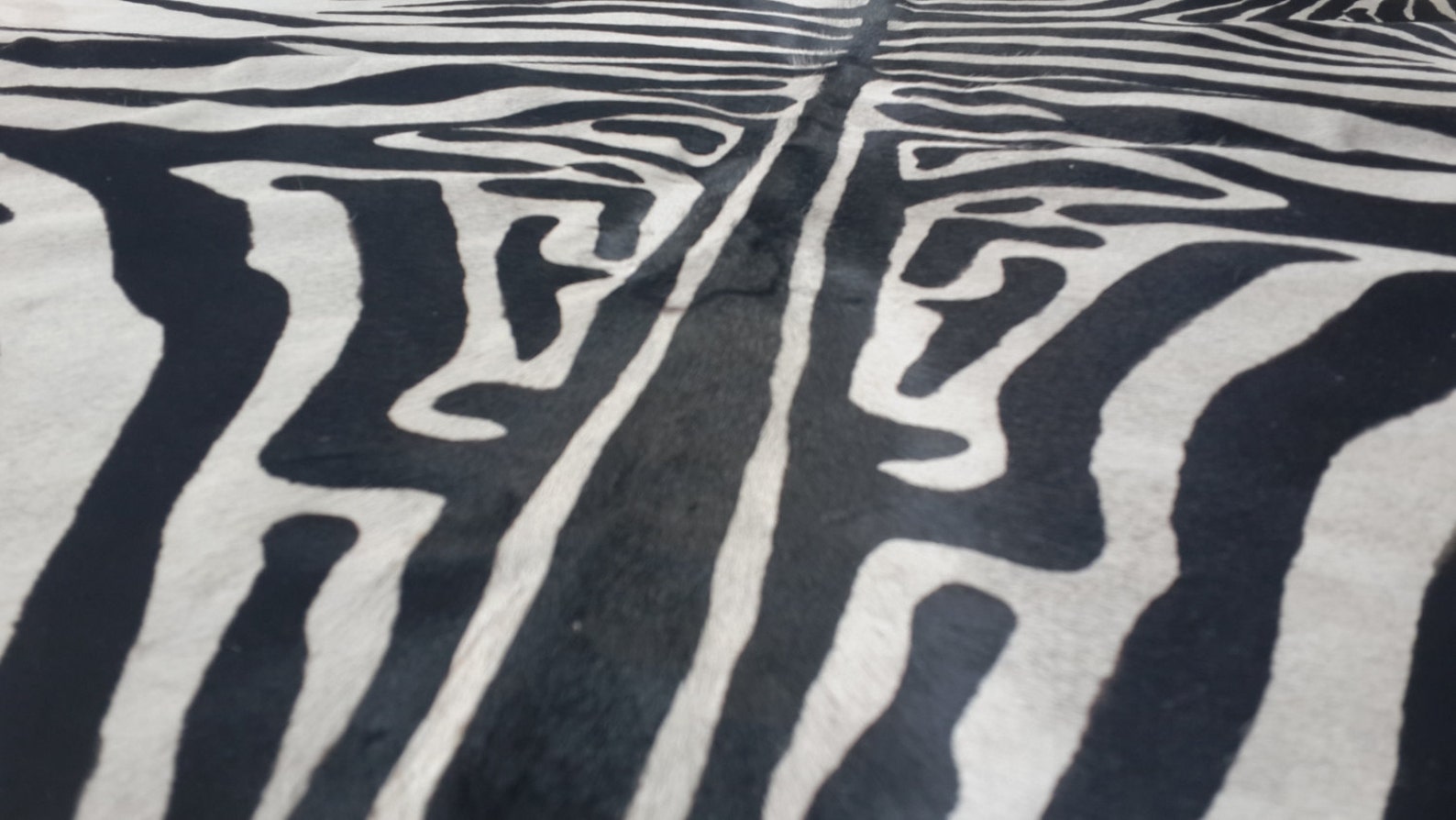 Cowhide Rug ZEBRA BLACK WHITE 6.9 x 6.2 ft A489 Peau de Zebre Etsy