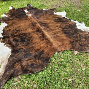 May include: A brown and white cowhide rug with a natural, mottled pattern. The rug is laid out on a green grassy surface.
