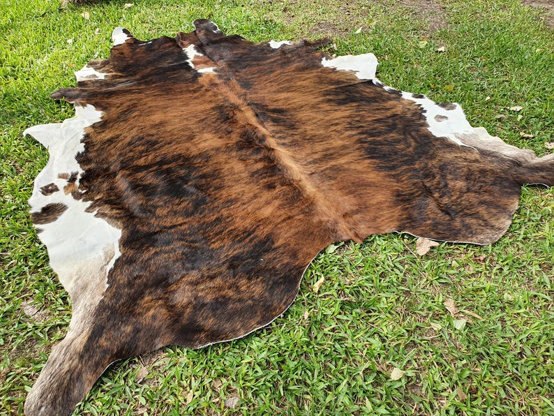 May include: A brown and white cowhide rug with a natural, mottled pattern. The rug is laid out on a green grassy surface.