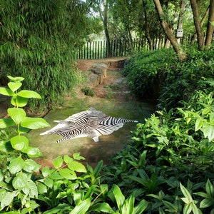 Cowhide Rug ZEBRA BLACK WHITE Unique Peau de Vache Imprimée Zebra Printed Cowhide image 8