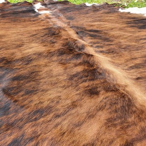 May include: A brown and black cowhide rug with a natural, textured surface.